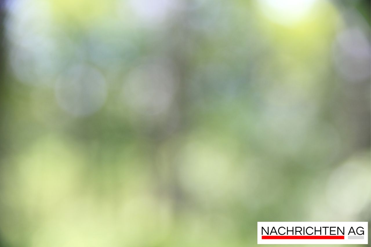 Ein Erbe für Bremen: Hans Koschnicks Vermächtnis im Herzen der Stadt